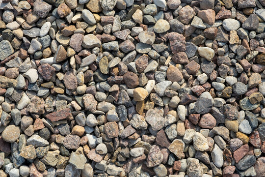 Kamyczki Billeder Gennemse 1,224 stockfotos, vektorer og videoer