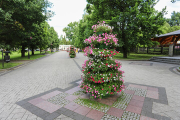 RABKA ZDROJ, POLAND - JULY 16, 2022: Flower decorations in the old town of Rabka Zdroj, Poland. - obrazy, fototapety, plakaty
