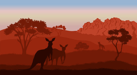 Fototapeta na wymiar Australian landscape. Kangaroo silhouettes. Savannah scenery of Australia. Panoramic wildlife scene. Wilderness summer dusk