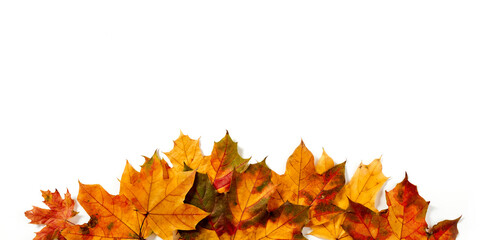 Fototapeta na wymiar Autumn leaves pile