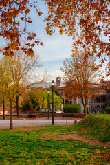 Autumn and foliage in Lucca. Romantic view of city walls park with autumnal leaves