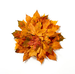 Naklejka na ściany i meble Autumn leaves pile