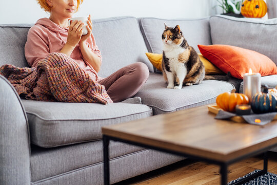 Unrecognizable woman in plaid holding cup of tea or coffee, watching movie, TV with multicolored cat on the sofa at home, decorated for fall holidays. Cozy and comfortable autumn. Selective focus.