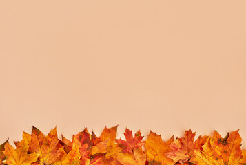 Fototapeta premium Autumn leaves on orange background