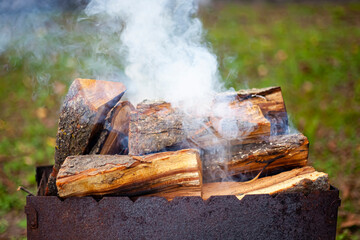 firewood is burning in the barbecue in nature