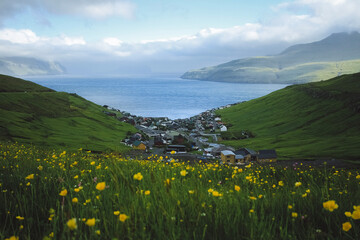 landscape with flowers