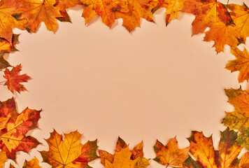 Naklejka na ściany i meble Dry autumn leaves frame