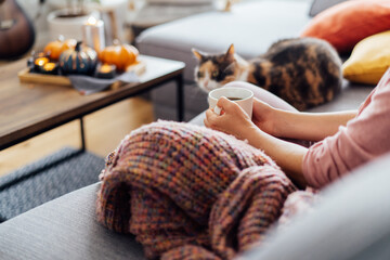 Close up woman in plaid holding cup of tea or coffee, watching movie, TV with multicolored cat on the sofa at home, decorated for fall holidays. Cozy and comfortable autumn concept. Selective focus