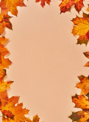 Naklejka na ściany i meble Orange autumn leaves frame