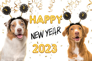 Portrait of two happy dogs wearing a new year diadem on a white background with golden party garlands and text happy new year 2023