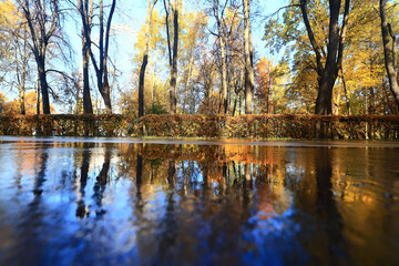 Fototapeta na wymiar fall park view decoration, wallpaper autumn yellow season