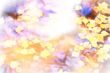 Fototapeta na wymiar autumn background relax, wet yellow leaves wallpaper atmosphere route