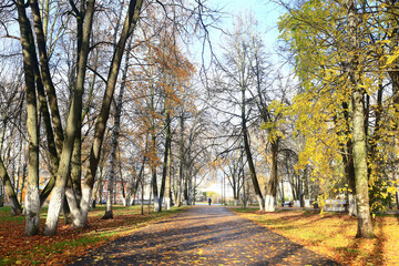 path in the autumn park sunny landscape wallpaper fall abstract