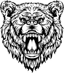 Grizzly bear detailed hand drawing. Vector illustration angry face. The head grizzly bear. Wild animal mascot art.