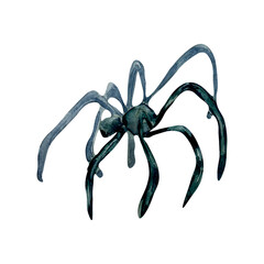 Single black spider watercolor illustration isolated on white