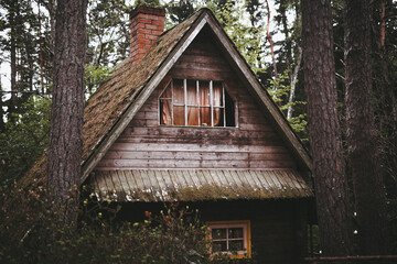 Old Cabin In The Woods