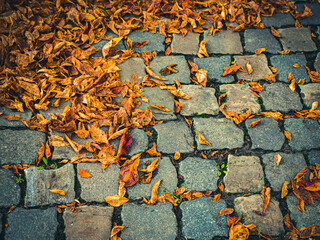 Brown fallen dry and twisted leaves on the sidewalk, warm toned.