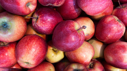 Natural background with red and green apples