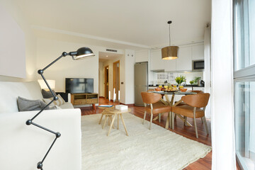 apartment decorated with light furniture with a black articulated lamp