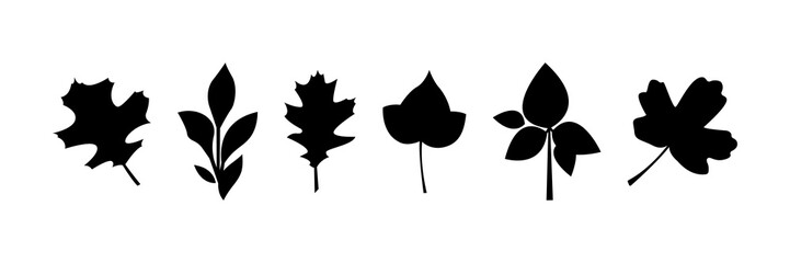 Botanical leaves for design decor. Set of leaves silhouette, herbal elements. Collection of black leaves. Can be used as autumnal decorations for Halloween or Thanksgiving.