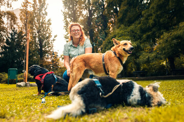 Female dog walker with dogs enjoying in city park.