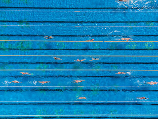 Aerial View of Swimmers in a open swimming pool