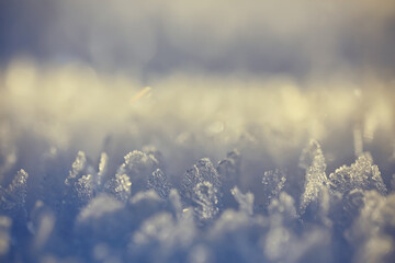 abstract winter background hoarfrost frost ice snow seasonal