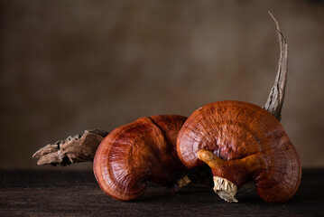 Reishi or lingzhi Mushroom on nature background.