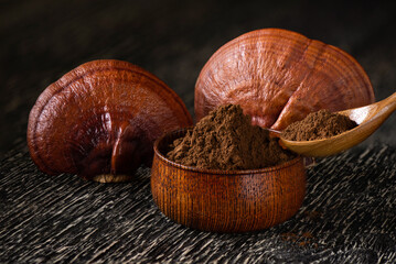 Reishi or lingzhi Mushroom on nature background.