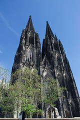 Cologne