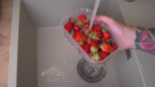 Tattooed Male hands rinsing strawberries with running tap water