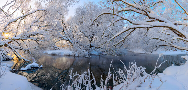 Winter scene with snow covered trees © valeriy boyarskiy