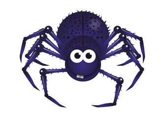 spider on the web