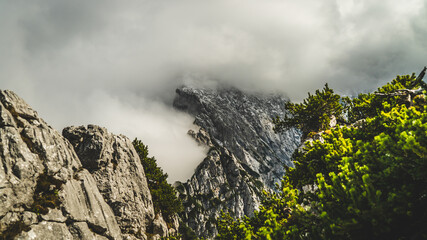 Mountain covered with clouds