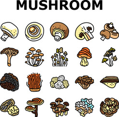 mushroom food forest fungi icons set vector. fungus champignon, nature fresh, plant autumn porcini, organic psychedelic vegetable mushroom food forest fungi color line illustrations