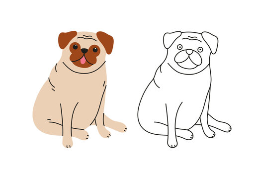 Cute pug dog vector cartoon illustration. Hand-drawn dog in contemporary flat style, and line art. Cartoon animal, pet. The dog is sitting.