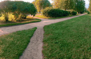 Confluence and intersection of straight walking paths in different directions among grass, bushes and trees in the early morning in a coastal park
