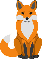 Front view of sitting red fox forest animal