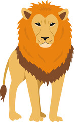 Front view of standing powerful lion African animal