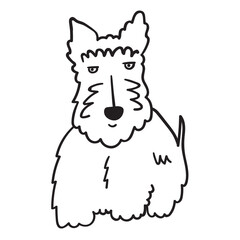 Scottish Terrier. Outline icon vector illustration.
