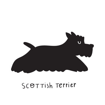Scottish Terrier. Hand drawn vector illustration on white background.