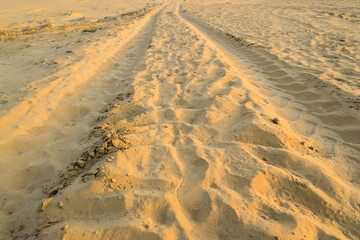 Dusty road middle in the Thar desert
