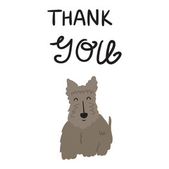 Phrase -Thank you. Cute little Scottish Terrier. Hand drawn illustration on white background. Best for greeting cards.