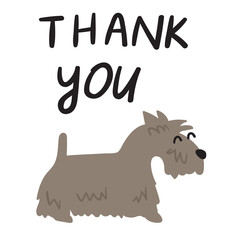Thank you. Hand lettering phrase. Scottish Terrier. Vector illustration on white background.