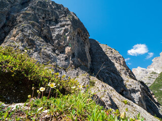 Panoramic hiking trail along the Tirol Sexten mountain chain during summer time