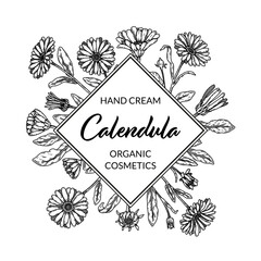 Calendula frame with hand drawn elements. Vector illustration in sketch style. Vintage packaging design
