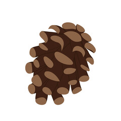 Pine cone isolated on a white background. Spruce cone separately. Winter decoration. Christmas element. Vector illustration