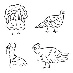 Turkey bird. Collection of simple outline icons. Vector illustrations on white background.