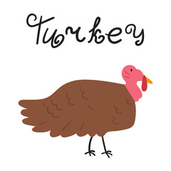 Turkey. Farm animal. Flat vector illustration on white background.