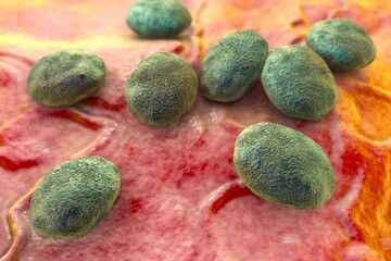 Parasite eggs, worm eggs, illustration